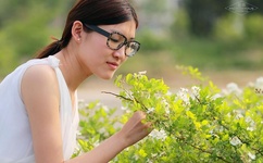 野花影视大全在线西瓜在线播放